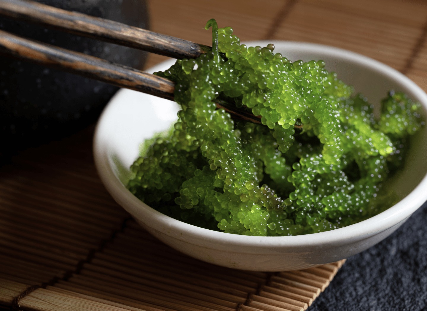 Chlorella
